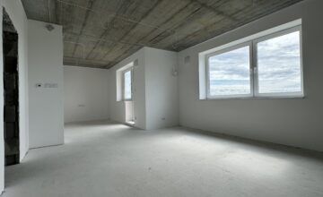 IMG 0028