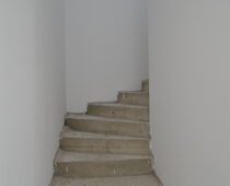 DSC1642