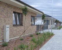 DSC1973