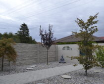 DSC0119