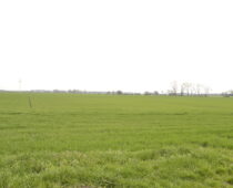 DSC0580