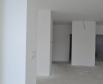 DSC1251