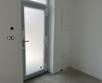 IMG 4521