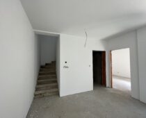 IMG 4529