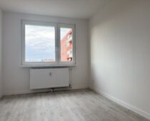 IMG 0022
