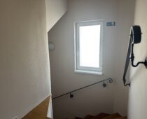 IMG 0284