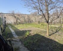 IMG 0569