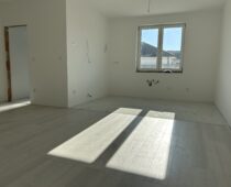IMG 0955