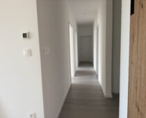 IMG 9039