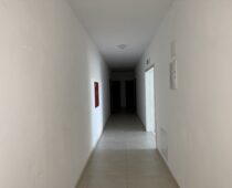 IMG 9281