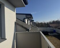 IMG 9781